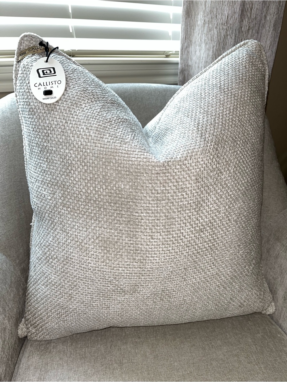 1-NWT CALLISTO HOME TEXTURE VELVET
DECORATIVE PILLOW (T0379F14)